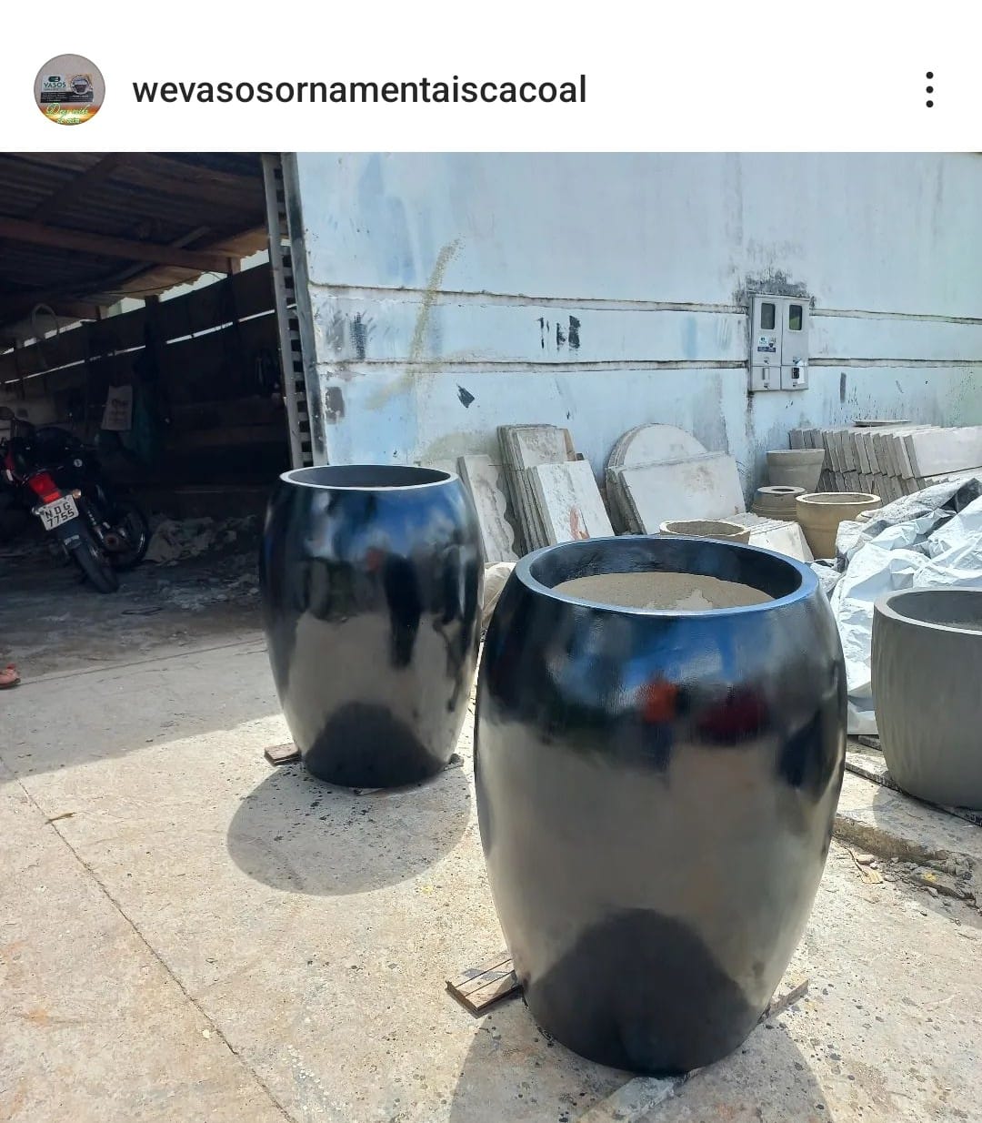 Vasos ornamentais 