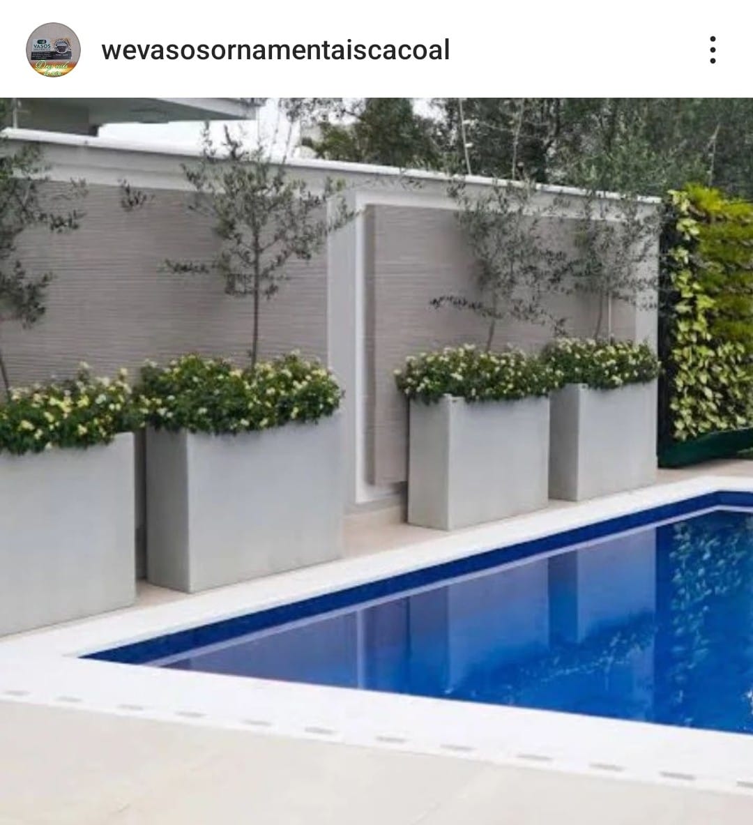 Vasos ornamentais 