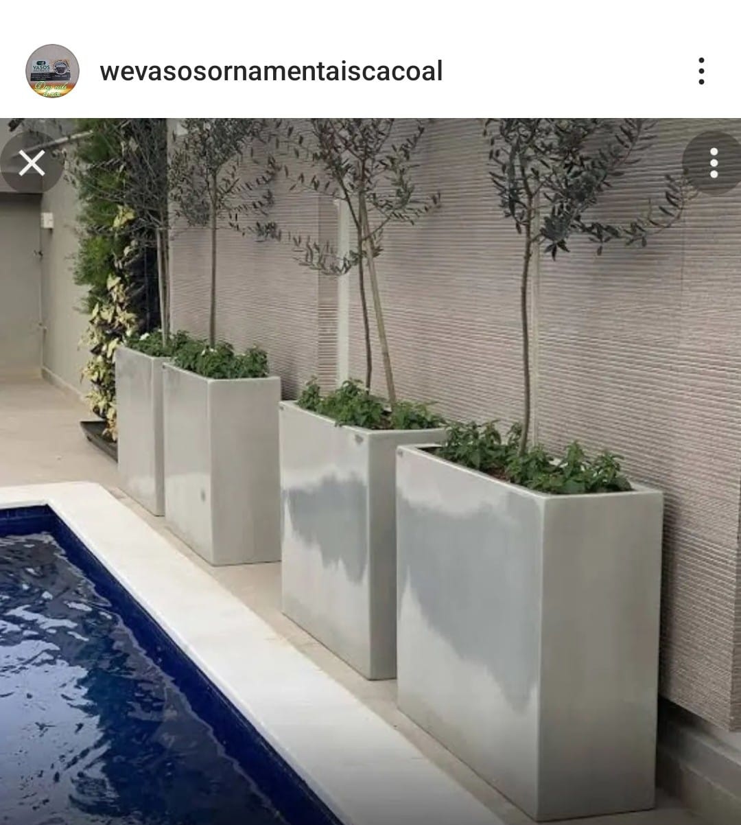 Vasos ornamentais 