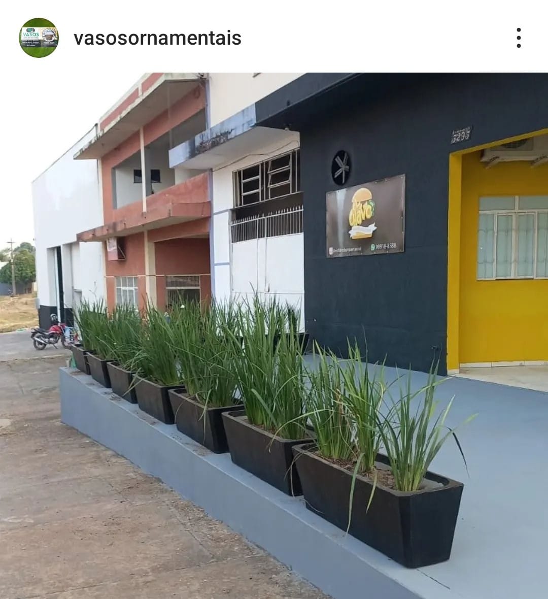 Vasos ornamentais 