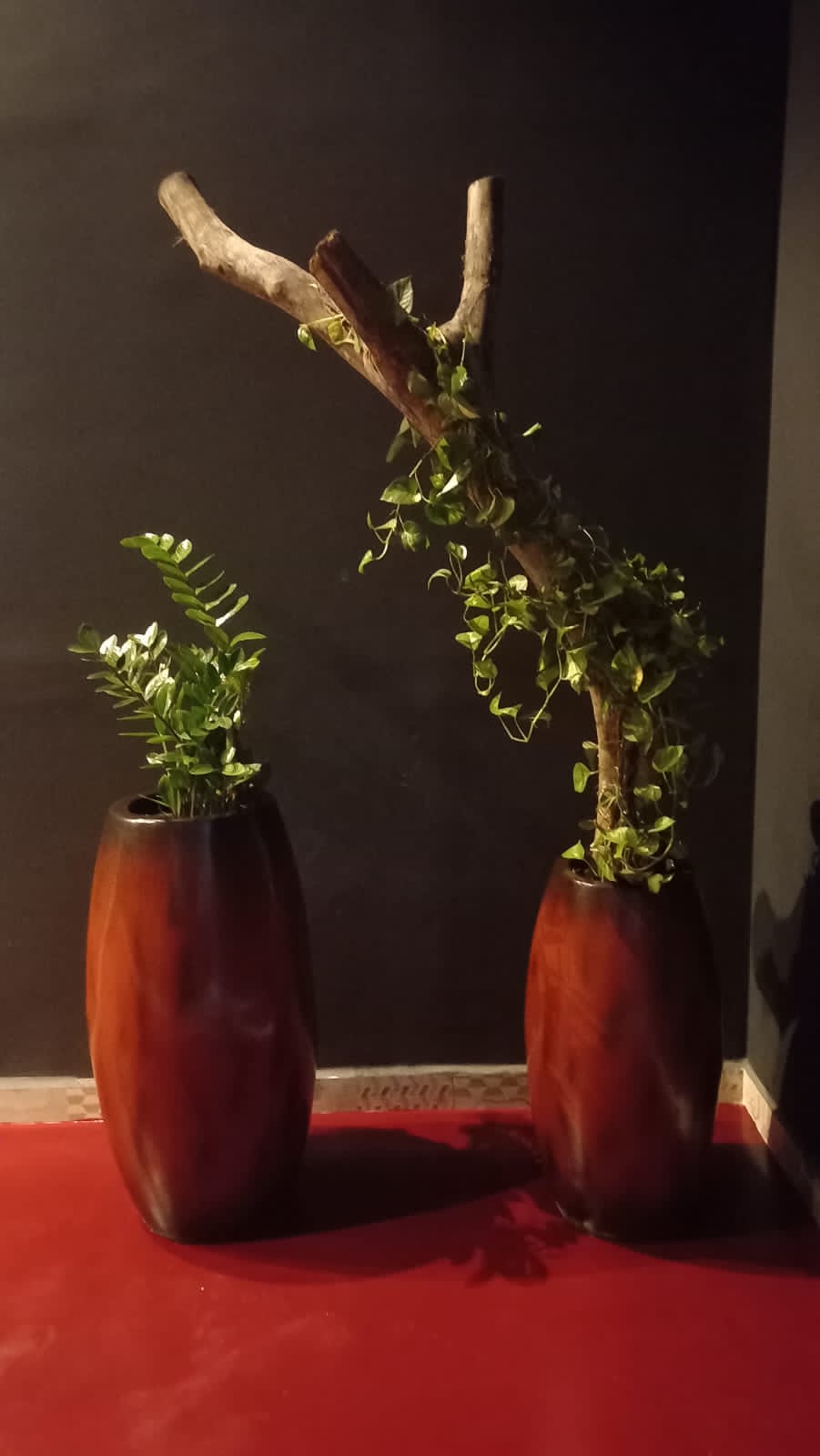 Vasos ornamentais 