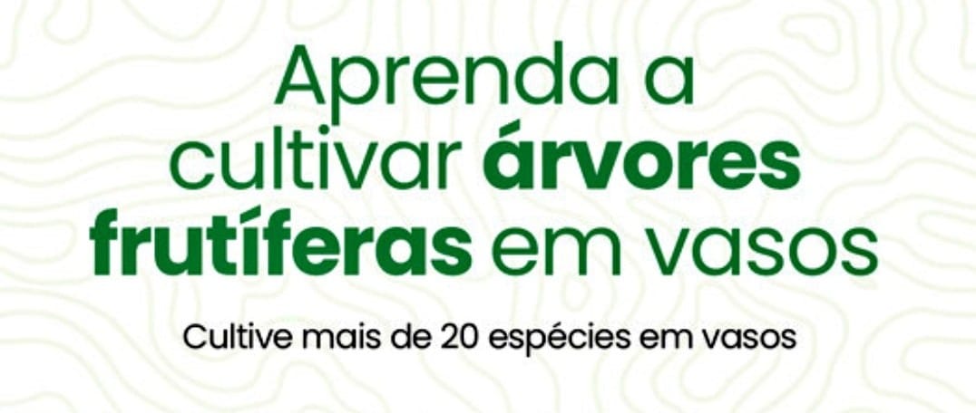 Vasos ornamentais 