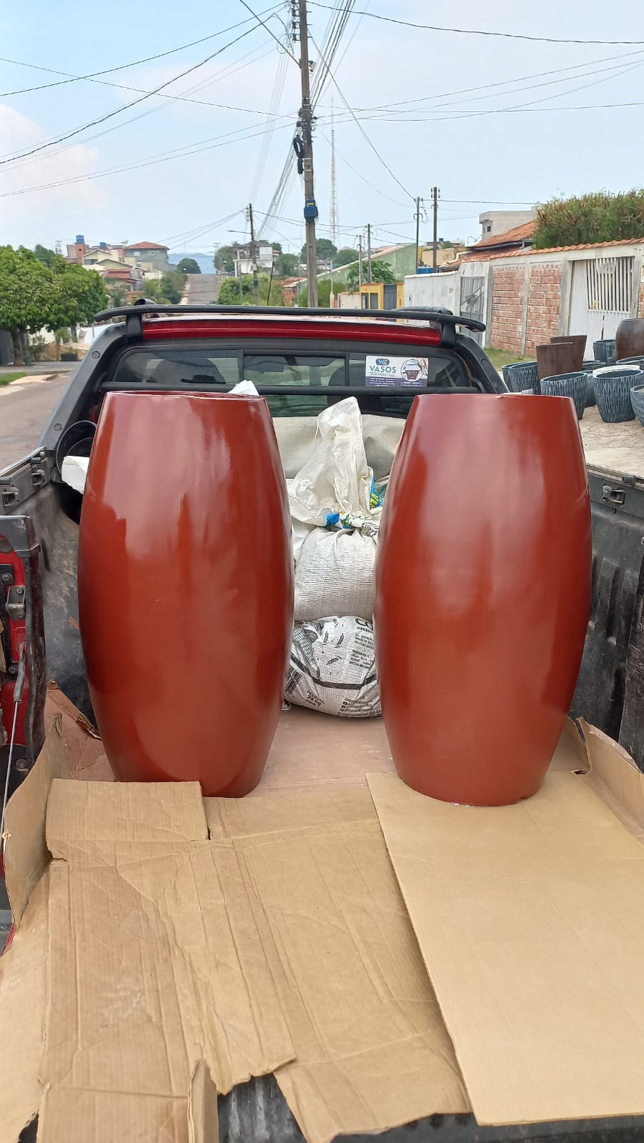 Vasos ornamentais 